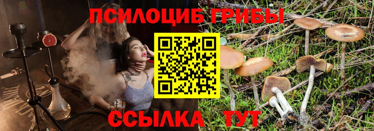 что такое   Псилоцибиновые грибы MAGIC MUSHROOMS  Галлюциногенные грибы MAGIC MUSHROOMS  Вход с VPN  Учалы 